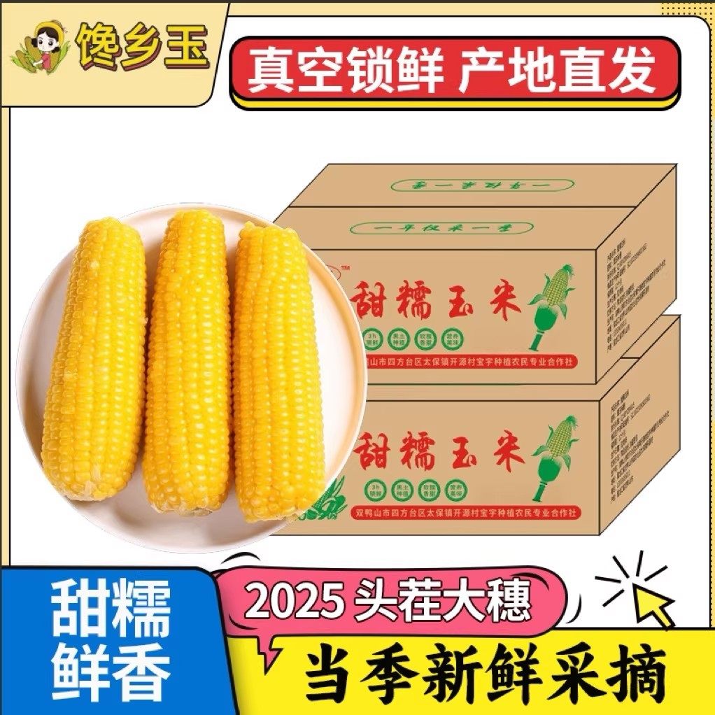 2025年头茬大棒10支新黄糯玉米新鲜现摘真空装包甜糯黏黄玉米代餐