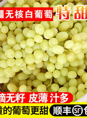 顺丰包邮 新疆无核白葡萄新鲜水果2026现摘吐鲁番无籽葡萄青提子