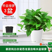 180#1 1 бассейн поглощения яиц динозавров [3] горшок с кастрюлем +10 жир 2