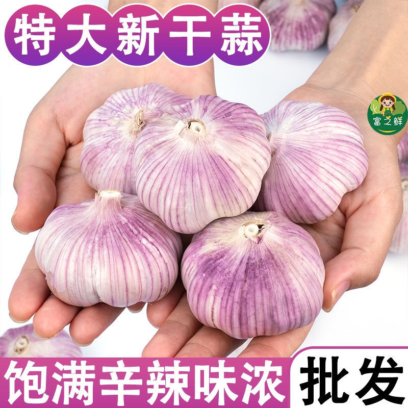 金乡紫皮大蒜5斤|超2000次加购
