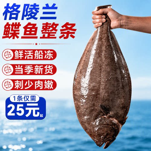 鸦片鱼深海鲽鱼整条蝶鱼身鱼头格陵兰比目鱼新鲜冷冻特大牙雅片鱼
