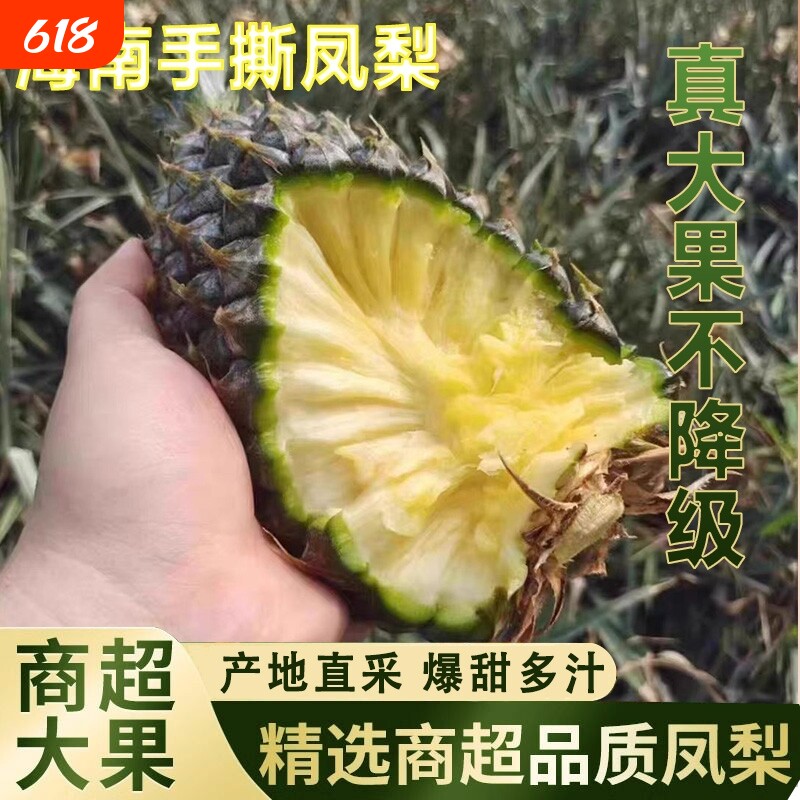 海南手撕凤梨新鲜水果树上熟台湾台农4号手掰金钻菠萝9斤应季
