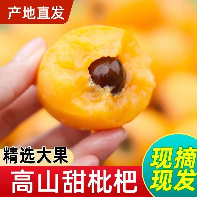 【精选】蒙自枇杷大果新鲜琵琶水果琵笆一级长虹批把鲜果酸甜整箱
