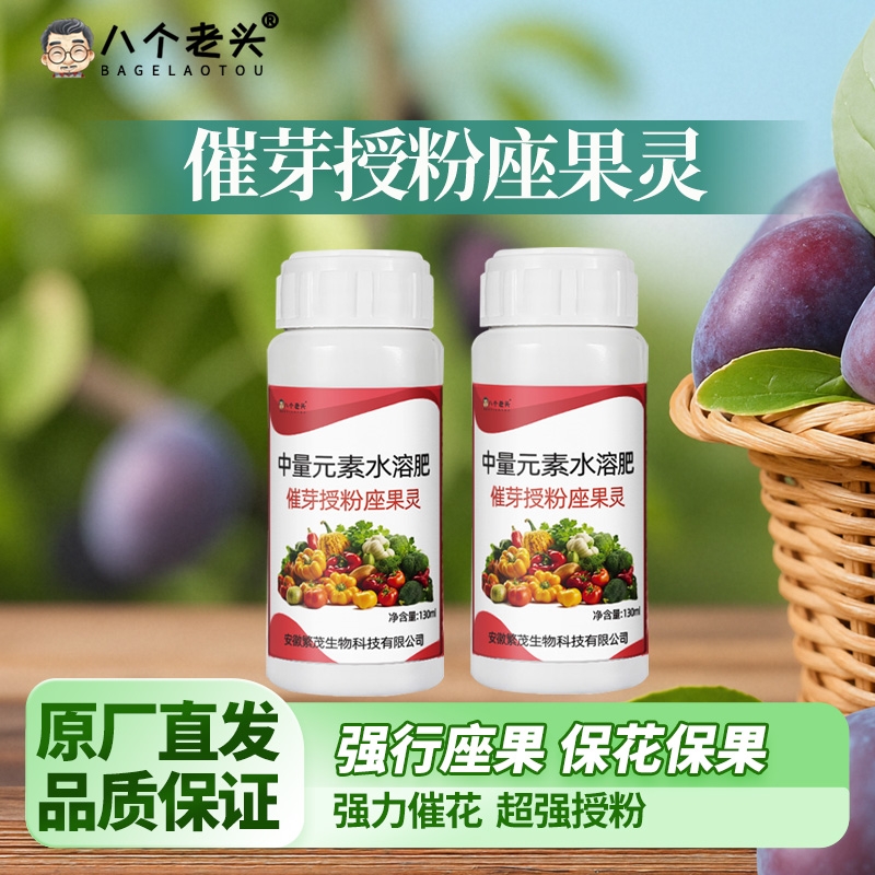 八个老头催芽授粉座果灵