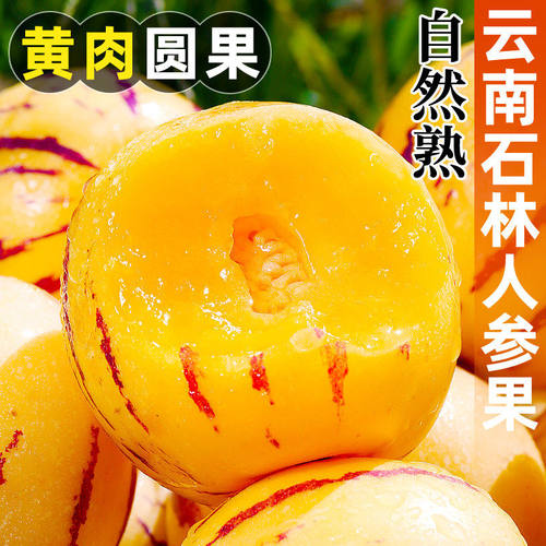 云南石林人参果新鲜水果树熟人生果当季水果产地直发整箱9斤包邮