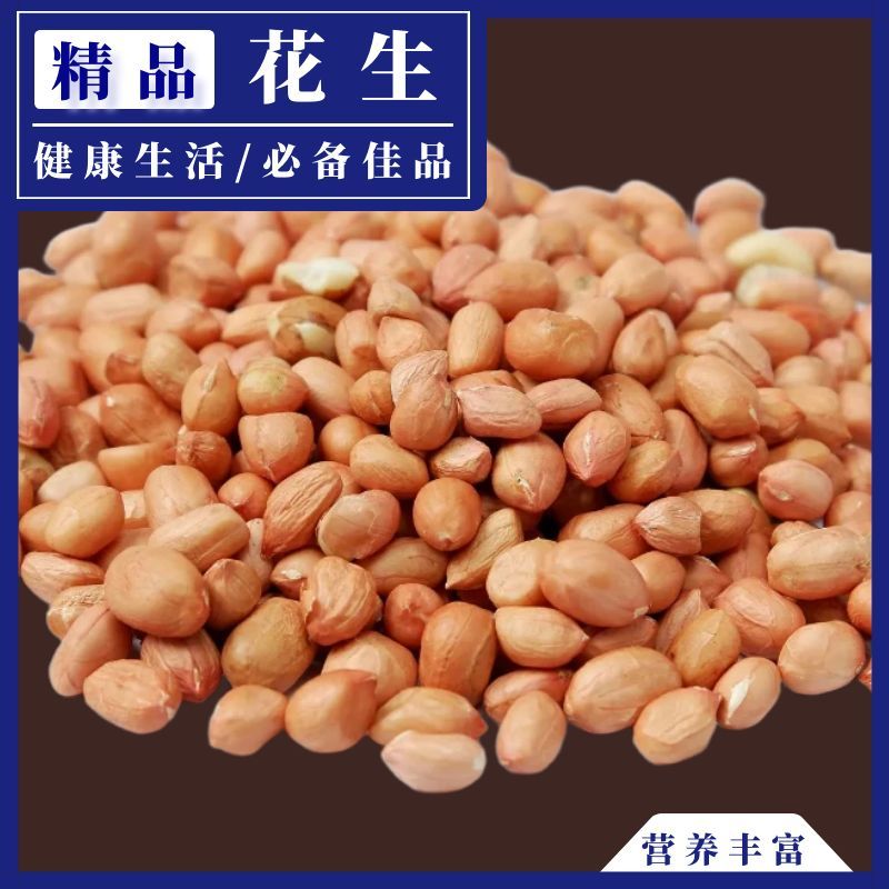 河南南阳白沙花生仁生 晒干花生米批发农家自销颗粒完整好