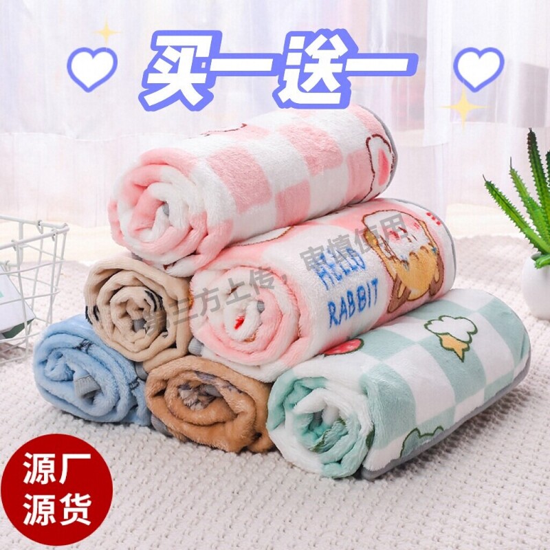 卡通宠物毛毯加厚秋冬季四季通用新款宠物毯子兔子仓鼠鸟毯子垫子