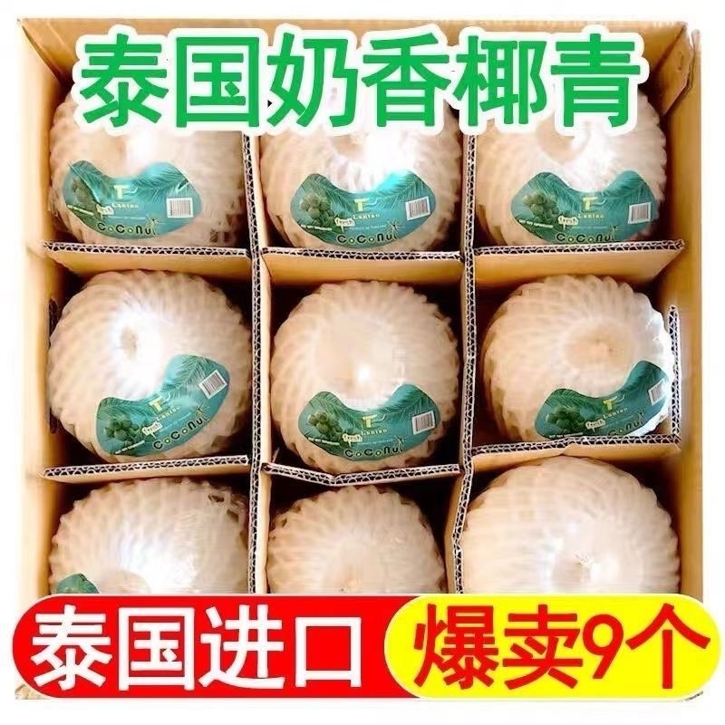 泰国进口奶香牛奶香水椰子水果当季椰青新鲜孕妇整箱9个大果批发