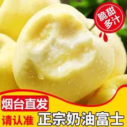 山东奶油富士正宗山东栖霞苹果
