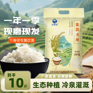 10斤南方籼米农家自产长粒金晨大米粒蛋炒饭煮粥香软梯田优质新鲜