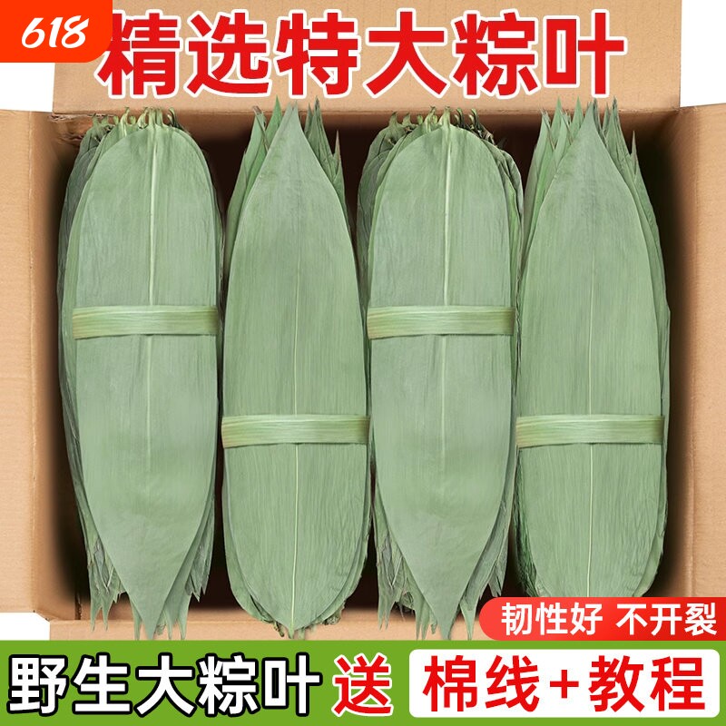 干粽叶包粽子专用大号野生干竹箬叶端午老式材料商批发本地粽叶