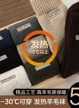 黑色袜子男秋冬季加绒加厚保暖中筒袜居家睡眠地板袜巨厚毛圈长袜