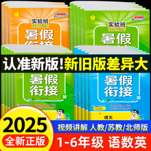 2025实验班暑假衔接一升二升三升四升五升六小学语文数学英语配套人教版北师大版一年级下册暑假作业上册预复习提优训练一本通下A