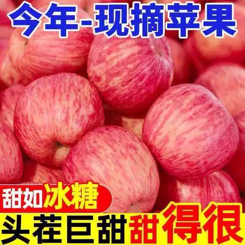 【营养丰富】精品大果山西红富士