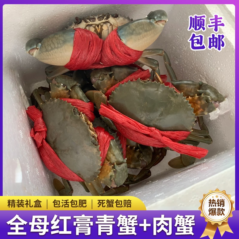 鲜活全母红膏青蟹肉蟹海鲜水产满肉公蟹无绳净重2只3只装顺丰包邮