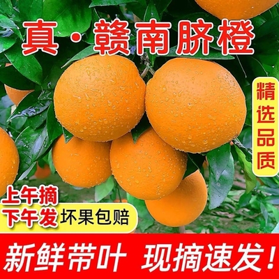 正宗江西赣南脐橙新鲜橙子赣州当季水果整箱甜冰糖手剥橙现摘果园