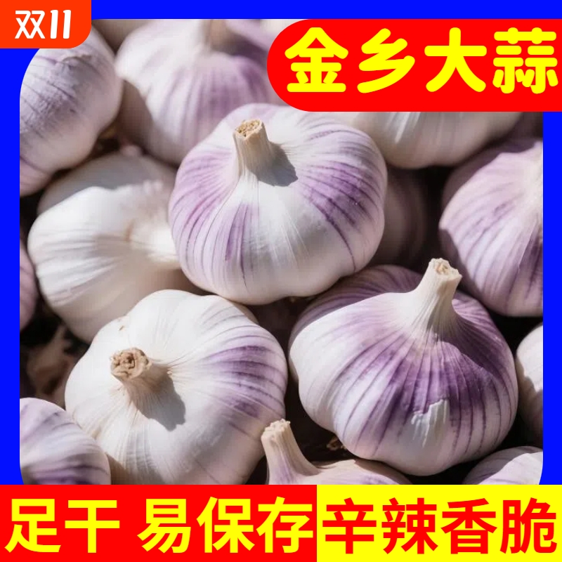 巨划算新干蒜紫皮大蒜新鲜大蒜头红皮大蒜批发优质蒜子便宜当季
