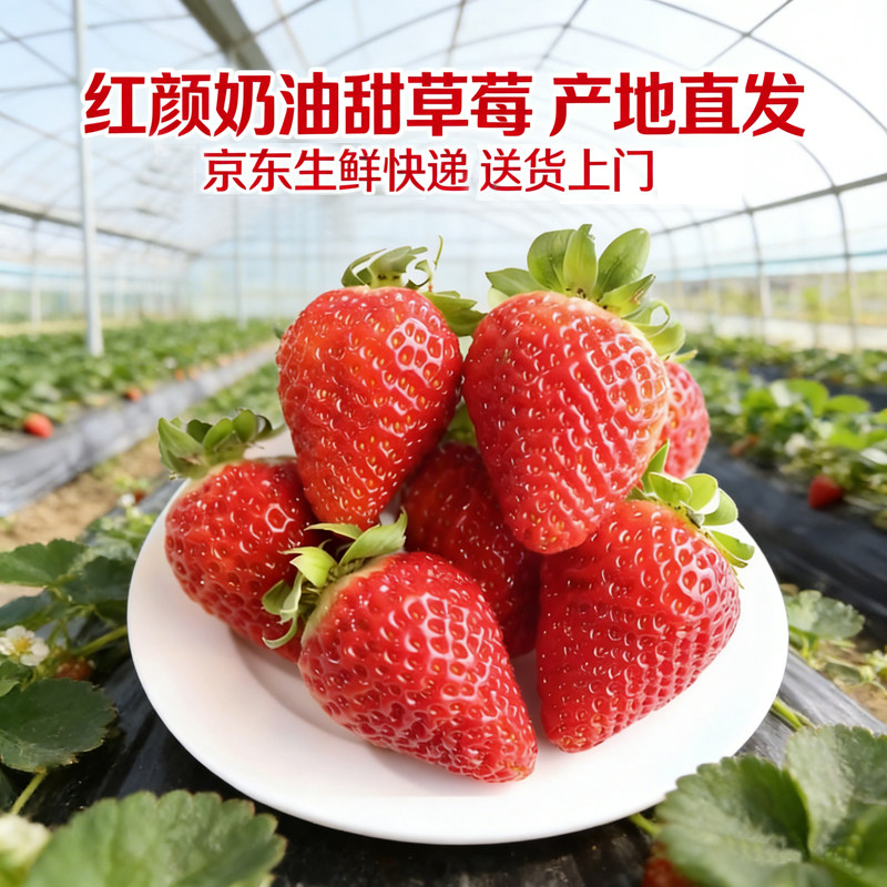 超甜99奶油红颜草莓新鲜水果应当季网红水果大果整箱京东鲜包邮,水产肉类/新鲜蔬果/熟食,草莓,淘宝优惠券,粉丝福利购,淘宝优惠卷