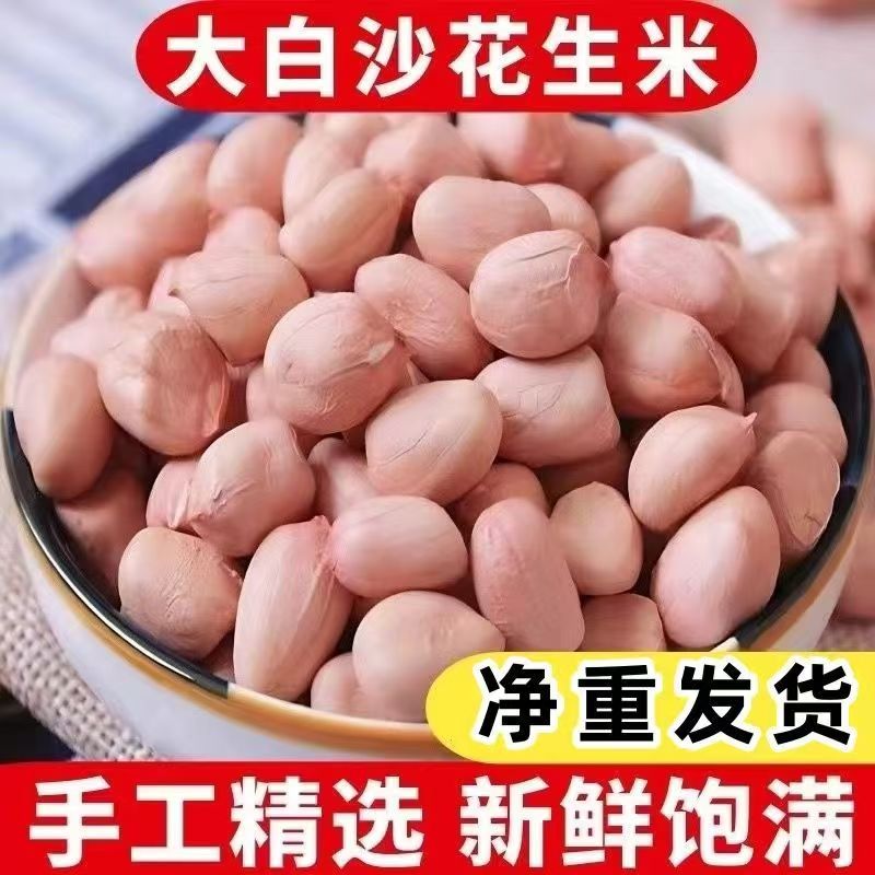 2025年大颗粒白沙花生米农家自产新鲜花生仁无壳精选圆粒花生米d6