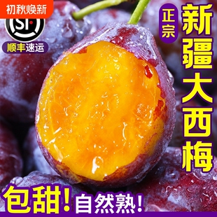新疆西梅鲜果新鲜水果当季整箱李子法兰西应季蓝蜜时令送货上门