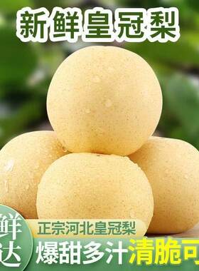正宗河北赵县皇冠梨无渣新鲜水果梨子爽口大白梨雪梨鲜果精选酥脆