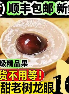 泰国龙眼新鲜进口桂圆当季水果非石硖孕妇脆甜大果5斤包邮整箱