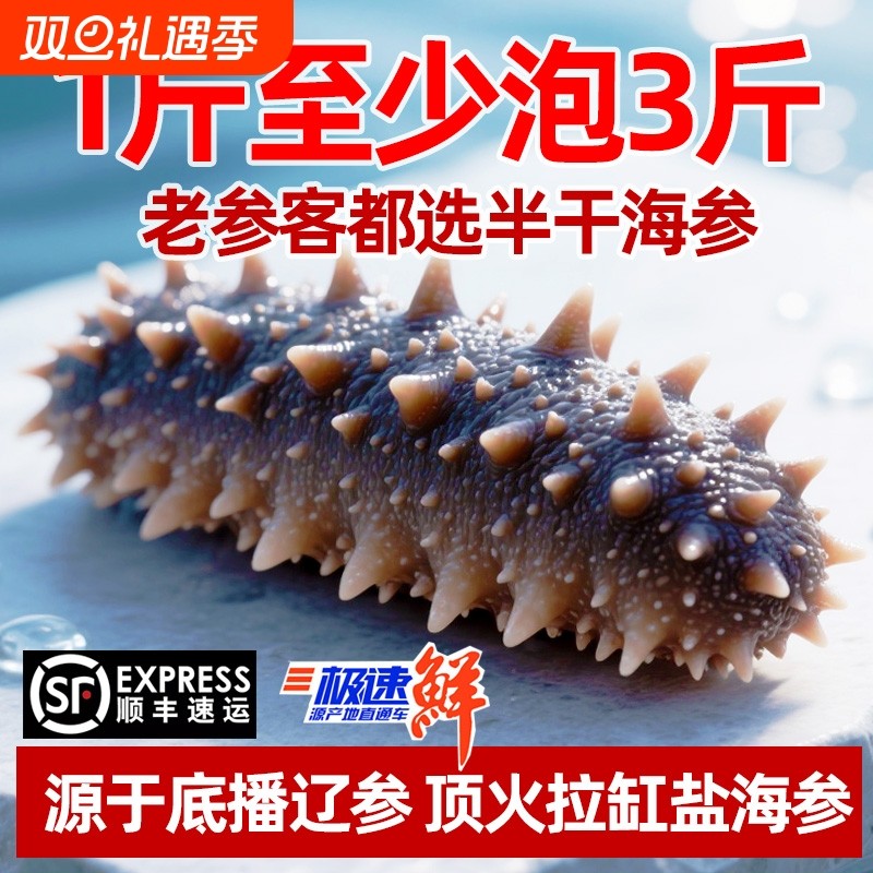 大连优质辽刺参半干海参拉缸盐海参非即食高泡发高营养