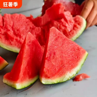 新鲜甘美4K整个西瓜甜薄皮肉厚青皮无籽冰糖季皮薄皮薄脆甜多汁