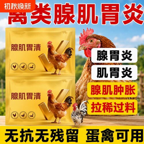 鸡鸭鹅鸽干吃不长胃肠炎腺肌胃清