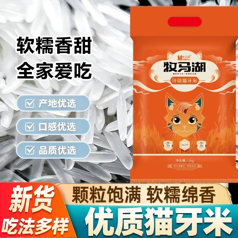 牧马湖10斤2026年新米玲珑猫牙米大米长粒丝苗米籼米软糯适中