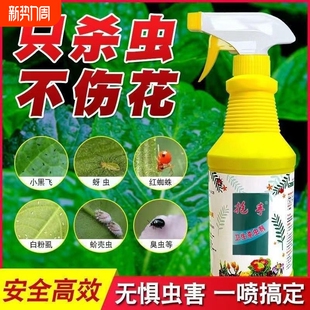 杀虫剂花卉植物通用绿植除虫剂多肉月季 花红蜘蛛杀虫药水喷雾花草