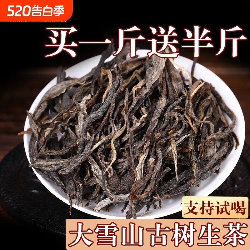 【买一斤送半斤】新益号2023年临沧大雪山古树春茶生普洱茶散茶叶