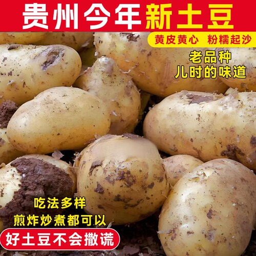 贵州新鲜黄心土豆洋芋