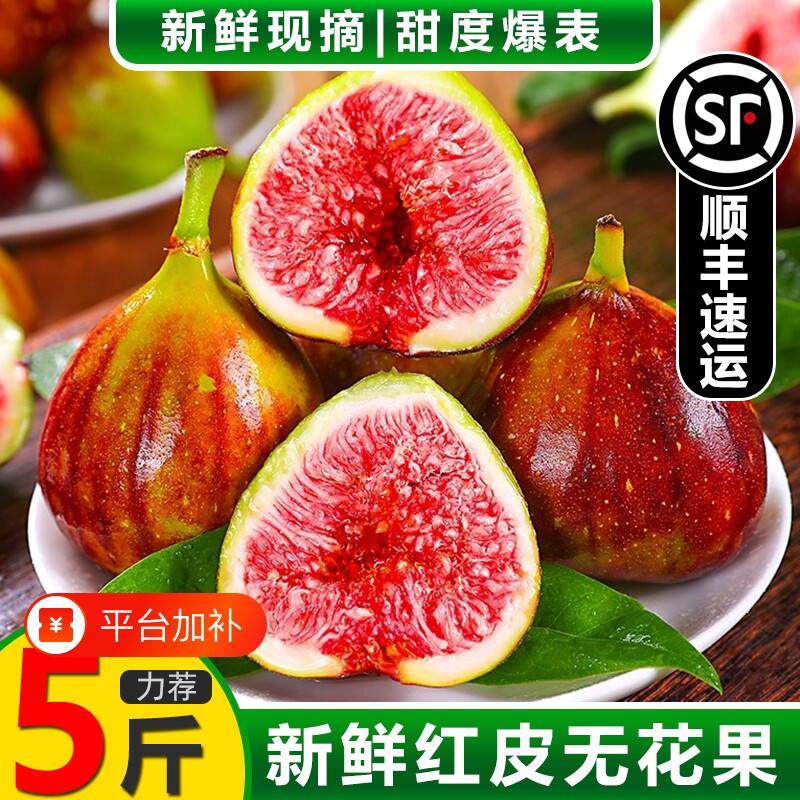 顺丰包邮 红皮无花果鲜果新鲜5斤现摘现发大果孕妇应季水果非青皮