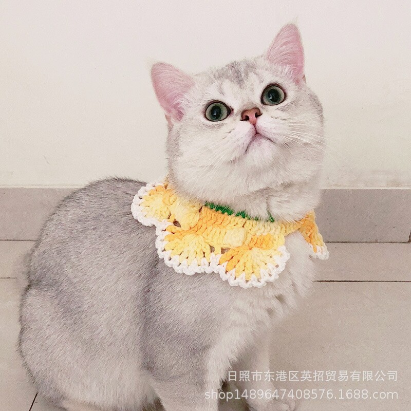 水果假领菠萝手工编织宠物饰品猫领结猫咪项圈英短美短布偶小型犬