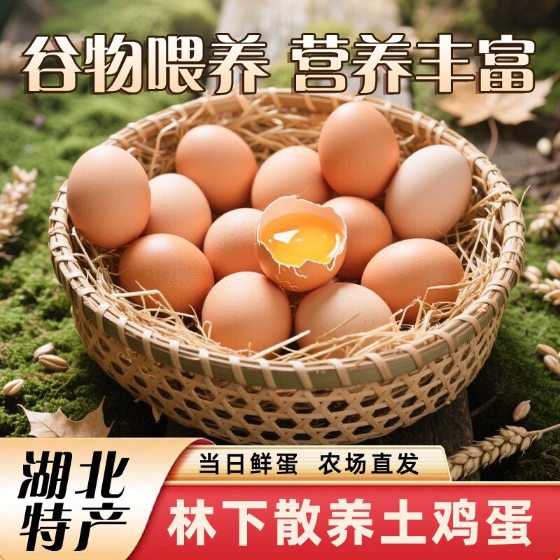 正宗土鸡蛋大别山散养新鲜鸡蛋虫草月子蛋老人早餐谷物蛋农场喂养