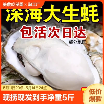 净重5斤！正宗乳山生蚝鲜活牡蛎