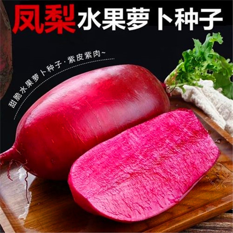 凤梨萝卜种子水果籽紫色红