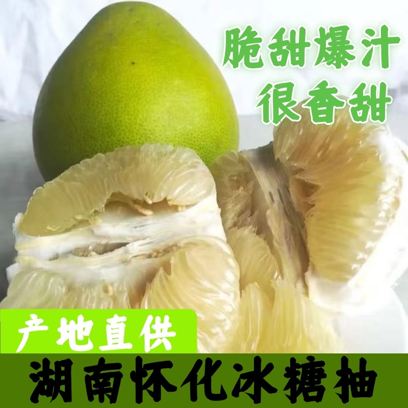 正宗湖南怀化柚子小苦柚脆嫩爽口精选冰糖柚细腻多汁新鲜水果青皮