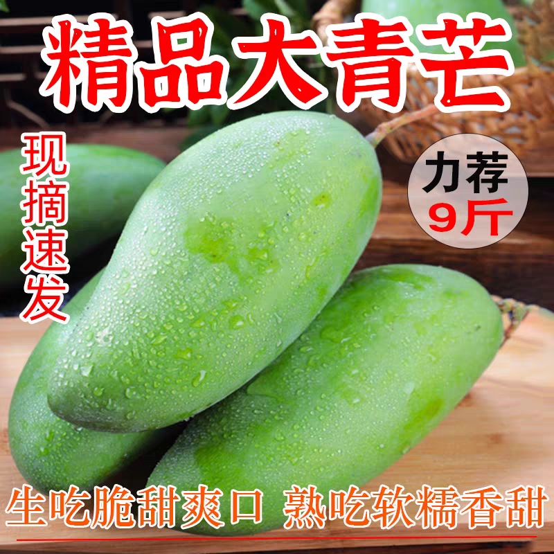 正宗云南大青芒新鲜现摘生芒果青芒果熟生吃酸脆甜腌制酸野芒果