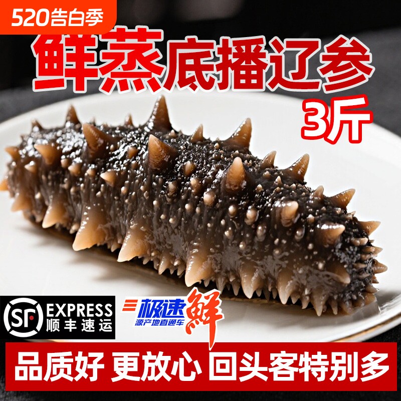 鲜蒸即食海参3斤大连深海捕捞非淡干特Q弹大个头水产冷冻年货散装