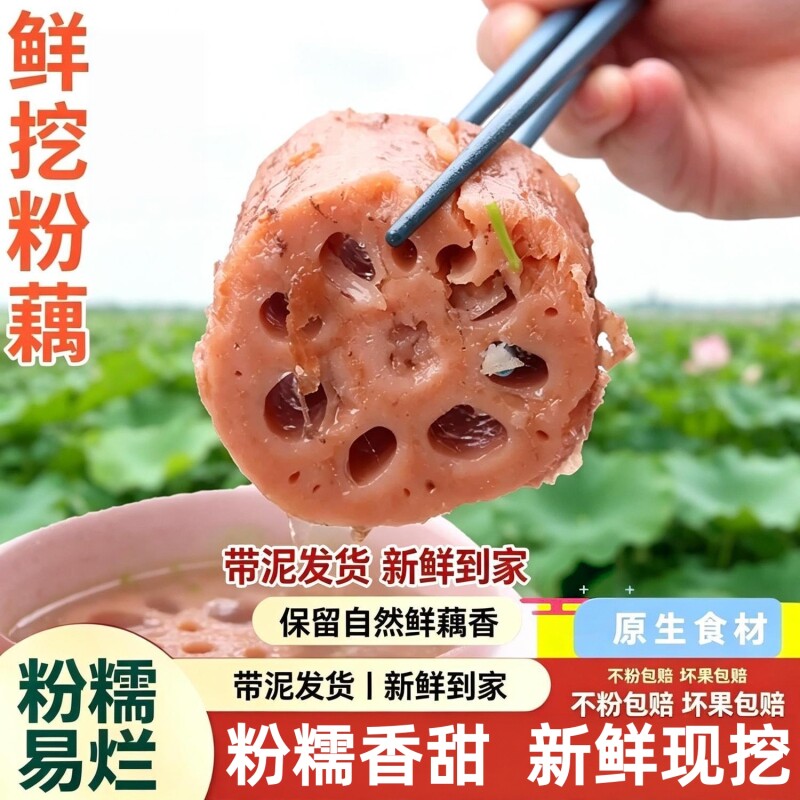 正宗湖北洪湖莲藕新鲜粉糯米藕现挖煲汤藕九孔藕红藕带泥发一整箱