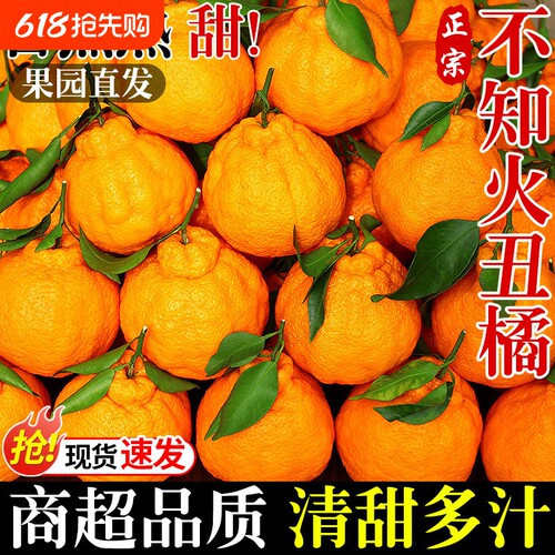 四川不知火丑橘鲜鲜现摘甜蜜多汁