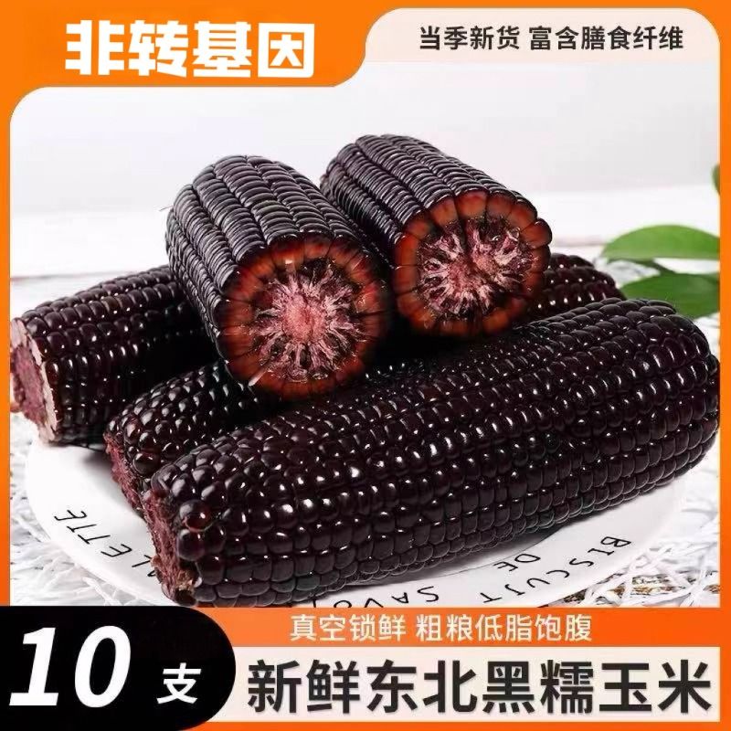 正宗东北黑糯玉米10支大棒苞米低脂早餐东北新鲜真空独立包装