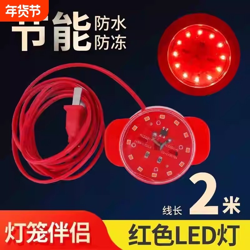 2米灯笼电线LED灯2米长大红灯笼led灯电源线阳台大门红灯红光插电