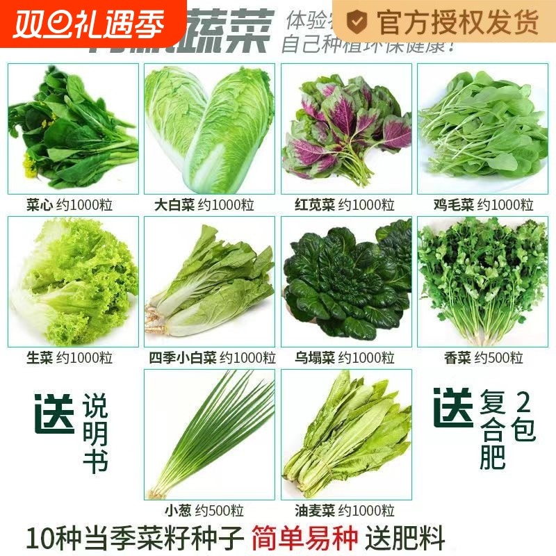 四季蔬菜种子适合种植生菜青菜香菜菠菜四季豆萝卜阳台菜籽大白菜