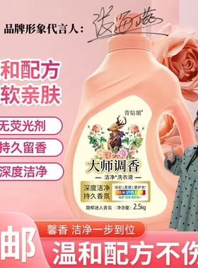 大师调香持久留香去污去渍无荧光剂洗衣液柔顺护色手洗护理洁净