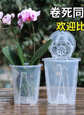树脂简约透明青山控根盆