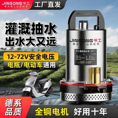 12v48v60v72v抽水泵电动车抽水泵电瓶车专用抽水泵农用直流潜水泵