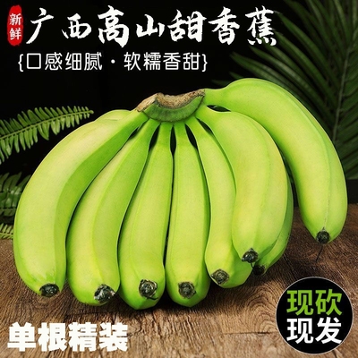 [精选]广西新鲜高山甜香蕉5斤9斤软糯粉香蕉应季水果非云南大芭蕉